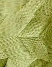 Textured Lime Green Sculpted Top